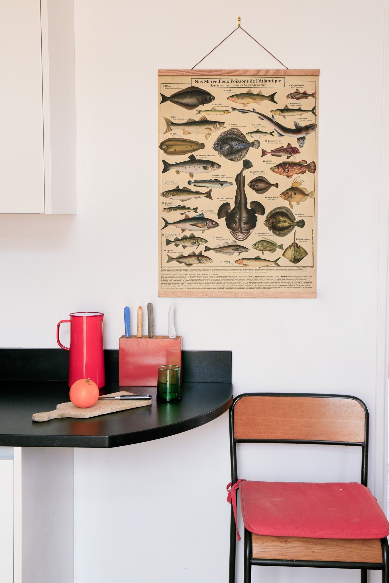 Affiche Poissons de l'Atlantique, pédagogique déco, consommer avec raison les trésors de la mer 50 x 70 cm - PAPPUS EDITIONS