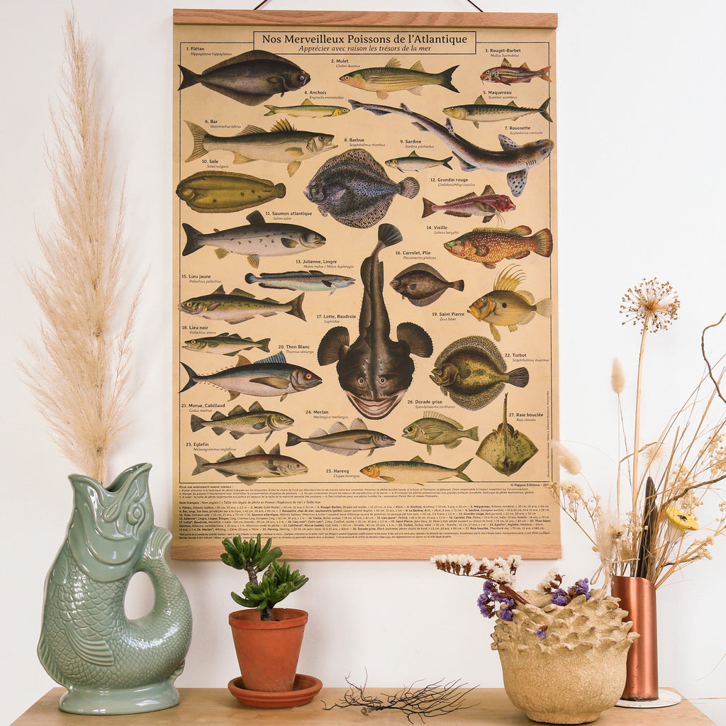 Affiche Poissons de l'Atlantique, pédagogique déco, consommer avec raison les trésors de la mer 50 x 70 cm - PAPPUS EDITIONS