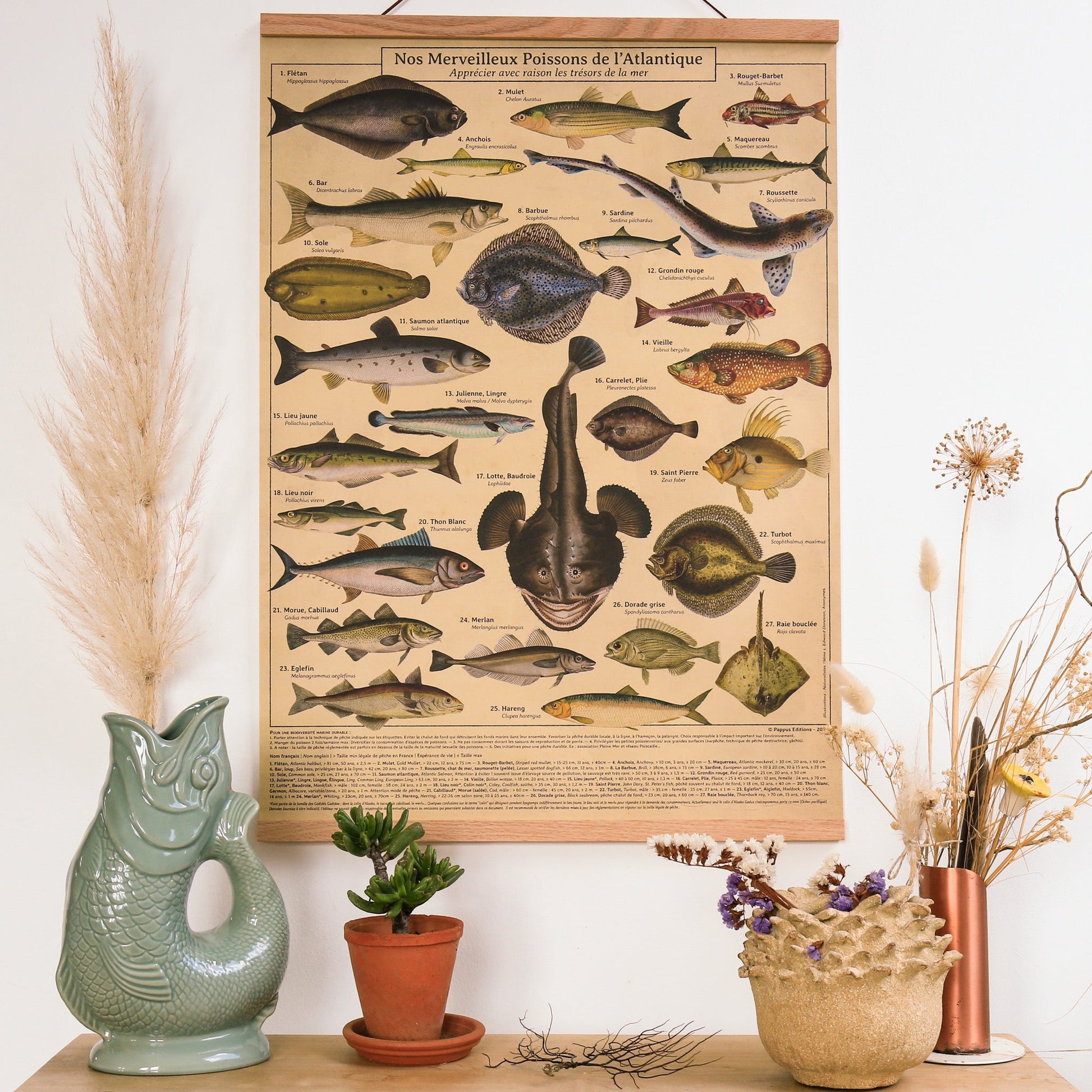 Affiche Poissons de l'Atlantique, pédagogique déco, consommer avec raison les trésors de la mer 50 x 70 cm - PAPPUS EDITIONS